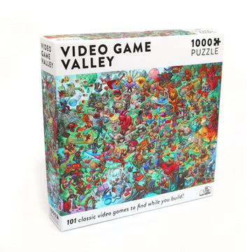 Video Game Valley Puzzle